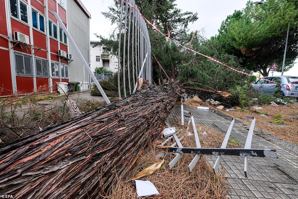 طوفان و سیل در جنوب غربی فرانسه؛ برق هزاران خانه قطع و شماری کشته و زخمی شدند