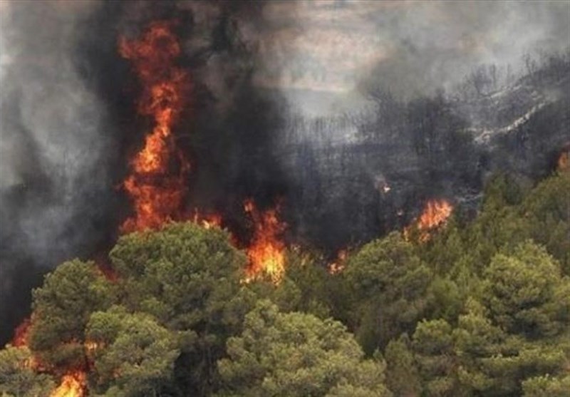 قطع گسترده برق اماکن و آتش‌سوزی وسیع جنگل‌ها در گیلان