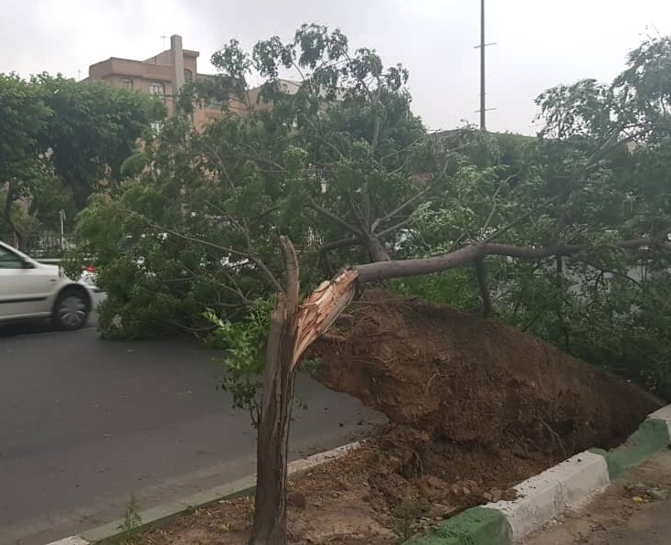 طوفان برق ۱۶ نقطه استان کرمانشاه را قطع کرد