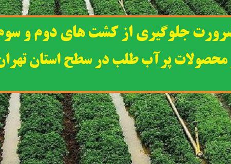 ضرورت جلوگیری از کشت‌ محصولات پر آب‌بر در استان تهران