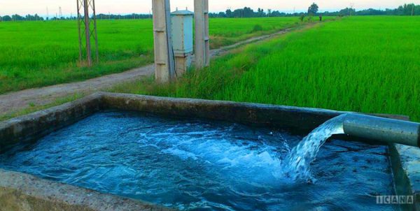 اعلام شرایط برق رایگان برای چاه‌های آب کشاورزی در چهارمحال و بختیاری