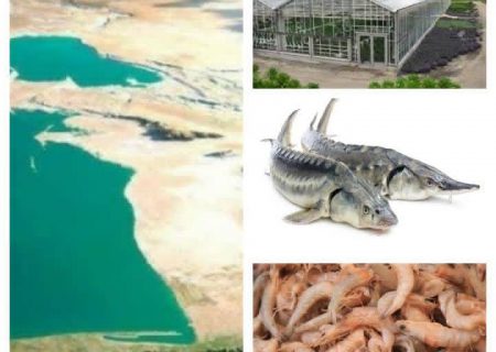 صدور مجوز استفاده از آب دریا بدون نمک‌زدایی برای طرح‌های آبزی پروری و صنعت شورورزی استان گلستان