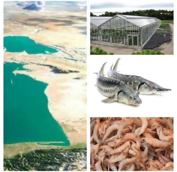 صدور مجوز استفاده از آب دریا بدون نمک‌زدایی برای طرح‌های آبزی پروری و صنعت شورورزی استان گلستان