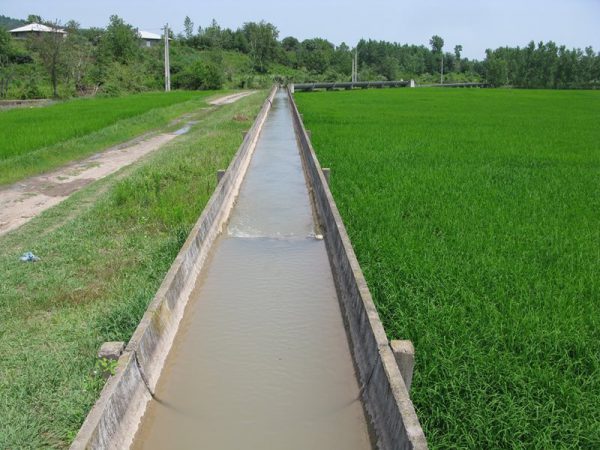 صرفه‌جویی ۸۰ درصد کشاورزان گیلانی در مصرف بهینه آب