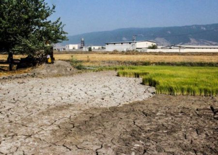 کاهش ۲۷۰ میلیون متر مکعبی ذخیره آبخوان‌ها در استان گلستان