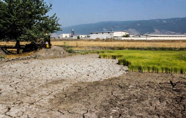 کاهش ۲۷۰ میلیون متر مکعبی ذخیره آبخوان‌ها در استان گلستان