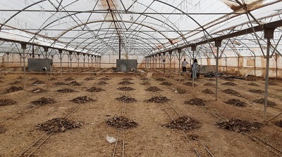 جلوگیری از برداشت ۴۰ هزار متر مکعب آب زیرزمینی در شهر یزد