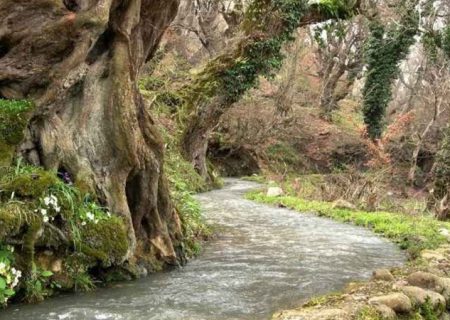 میزان رواناب رودخانه‌های دائمی مازندران ۴۵ درصد کاهش یافت