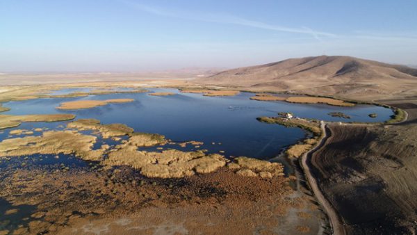 رهاسازی ۲.۵ میلیون مترمکعب آب برای احیای تالاب بین‌المللی “کانی برازان” در آذربایجان غربی