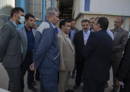 رئیس‌ سازمان محیط زیست از نیروگاه شازند بازدید کرد