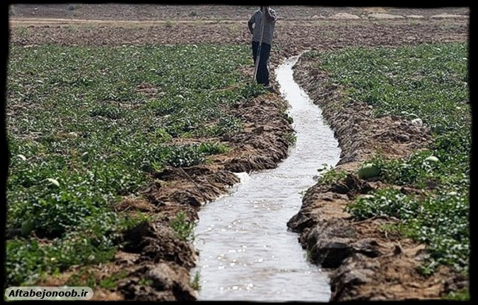 ضرورت بهینه‌سازی مصرف آب کشاورزی در حوضه سد سفیدرود گیلان