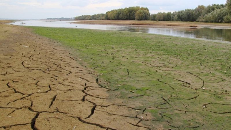 مکانیزم کنونی «الگوی کشت» فشار بر منابع آبی را تشدید و امنیت غذایی را تهدید می‌کند
