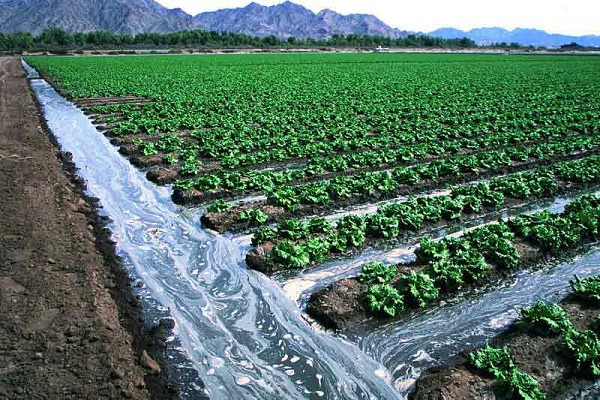 بهره‌وری آب کشاورزی در برنامه هفتم مورد توجه قرار گیرد/ ابهام مهر محرمانه بر سند الگوی کشت