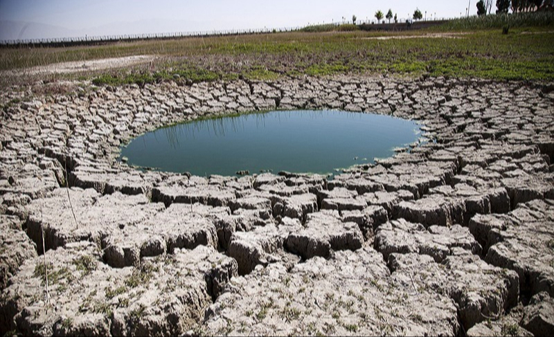 کم آبی گریبانگیر ۲۶ استان کشور/ مشوق‌های نکاشت تابستانه در مناطق خشک پیش‌بینی شود