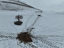 خسارت ۳۷۰۰ میلیارد ریالی بارش برف و باران به شبکه توزیع برق کردستان