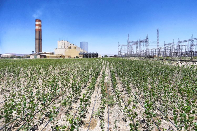 ۷ میلیون مگاوات ساعت انرژی در نیروگاه شهید مفتح شد