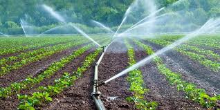 🎥 ویدئو/ با راه‌اندازی آبیاری قطره‌ای یا چکه‌ای در باغچه‌ها می‌توان تا حدود ۵۰ درصد در مصرف آب صرفه‌جویی کرد