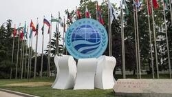 سازمان شانگهای فرصتی بی‌نظیر برای توسعه انرژی ایران